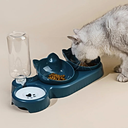 3-in-1 Pet Feeding Station