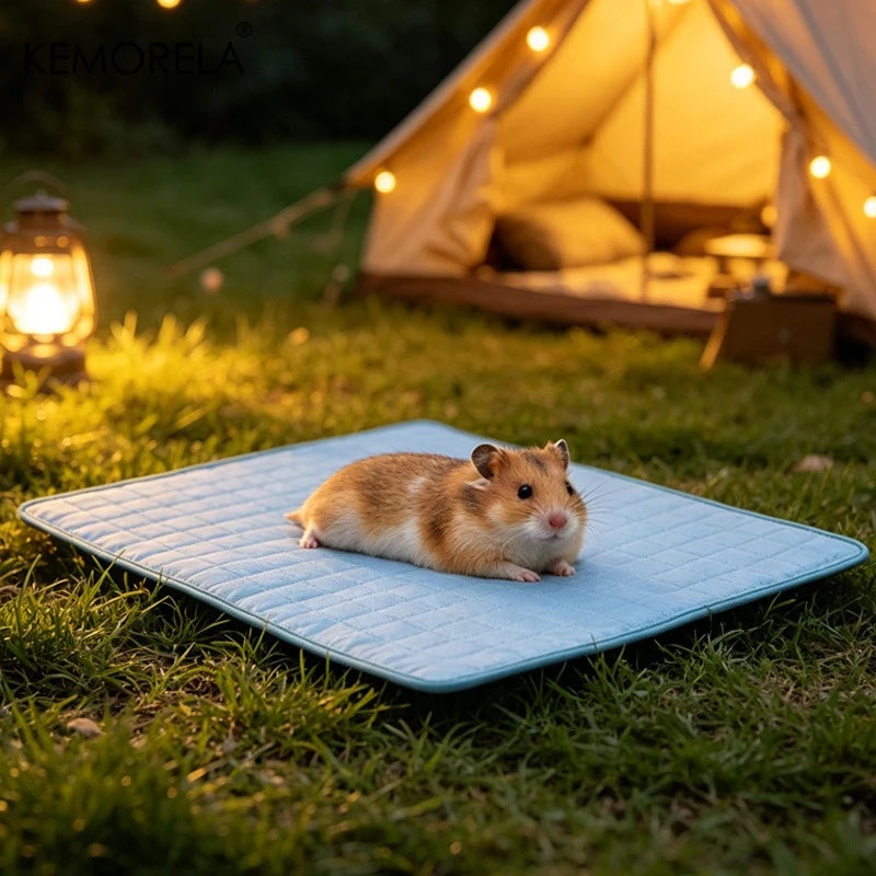 Summer Pet Cooling Mat
